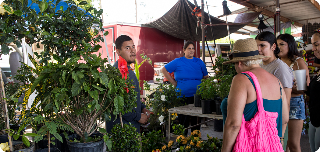 Your Go-To Spot for Food, Finds, and Fiesta